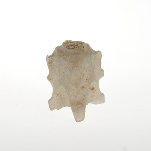 Unbekannt (Ausführung), Molar-Flakon-Fragment, 9.–10. Jahrhundert