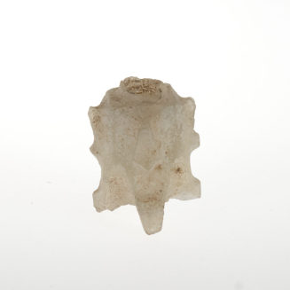 Molar-Flakon-Fragment