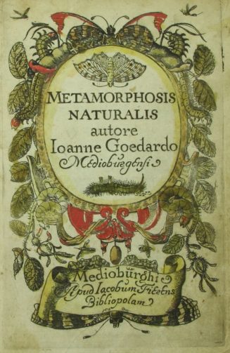 Der erste Band der niederländischen Ausgabe der "Metamorphis naturalis" aus der Bibliothek des  ...