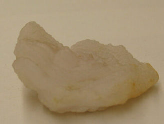 Schneckenchalcedon