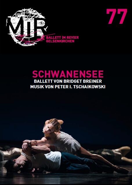 Programmheft zu "Schwanensee" von Peter Tschaikowski. Gelsenkirchen, 9.11.2013 (2013/2014)