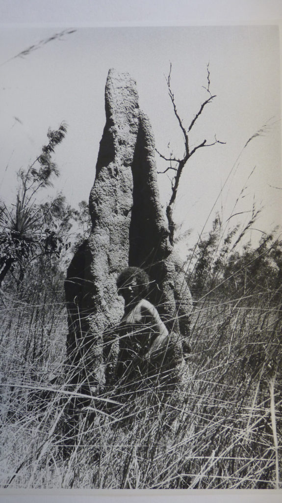 Klaus Rinke in Australien