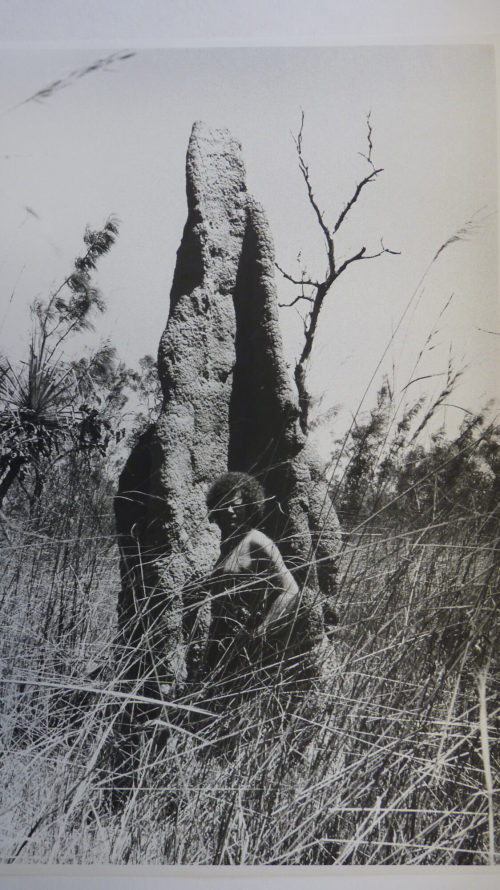 Monika Baumgartl (Künstler*in), Klaus Rinke in Australien, 1979