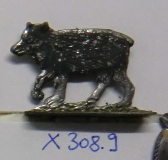 Braunbär