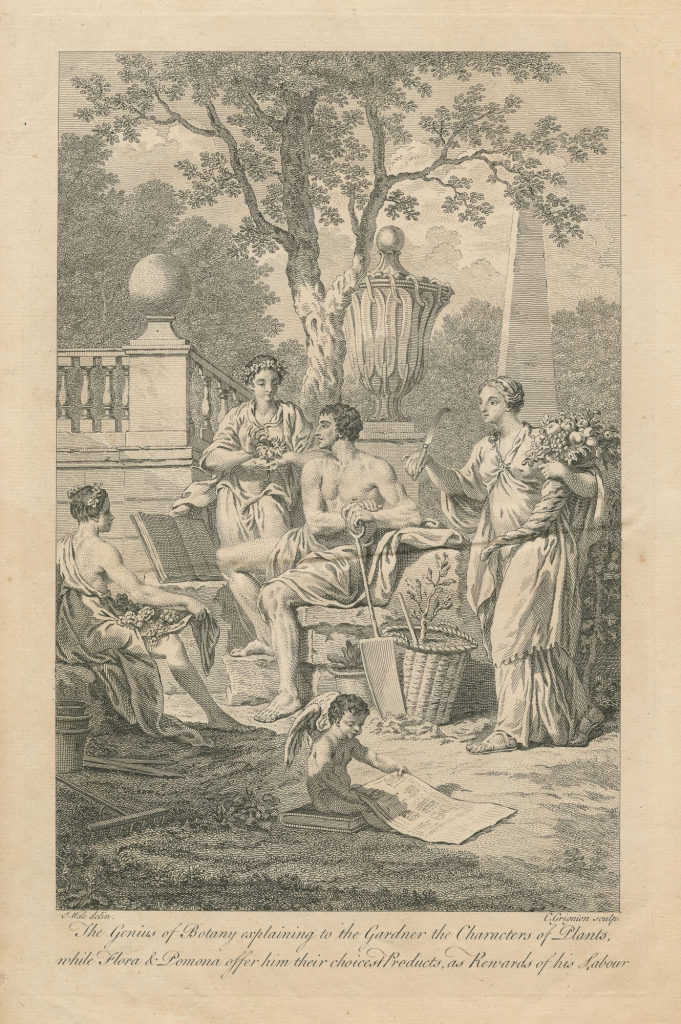 The Genius of Botany explaining to the Gardner dthe Characters of Plants, while Flora & Pomona offer him their choicest Products, as Rewards of his Labour.