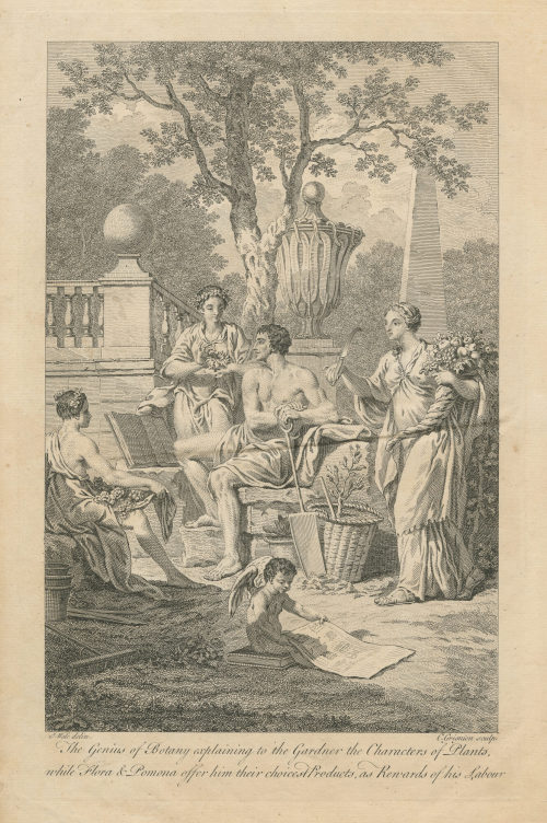 Samuel Wale (Vorlage von), The Genius of Botany explaining to the Gardner dthe Characters of Plants, while Flora & Pomona offer him their choicest Products, as Rewards of his Labour., 1757