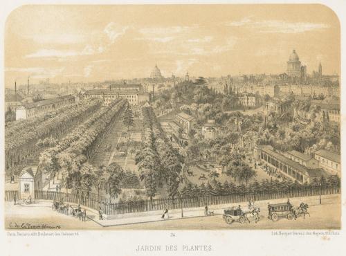 Becquet frères (Lithograph*in), Jardin des Plantes, um 1850