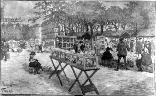 Richard Bloos (Künstler*in), Vogelmarkt in Paris, 1909