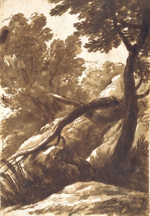 Bartolomeo Torregiani (Künstler*in), Waldlandschaft, 1646