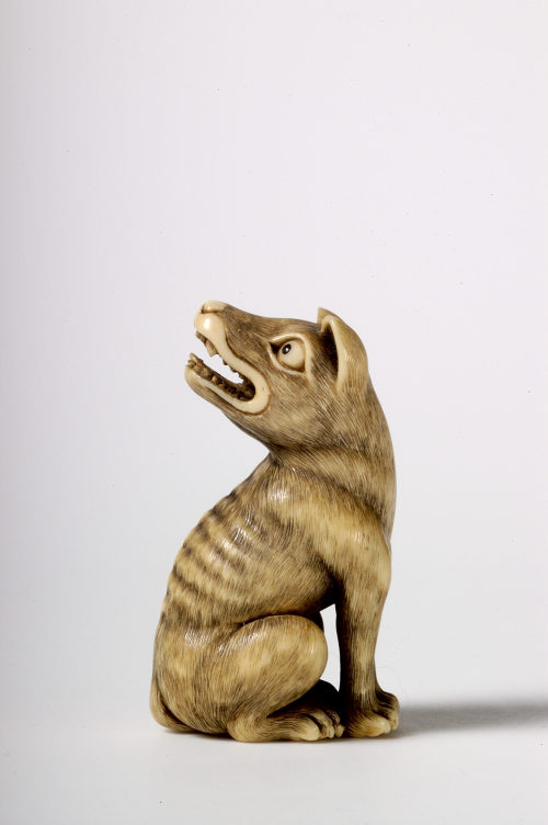 Unbekannt (Künstler*in), Wolf, Ca. 1979 (erworben 1979)