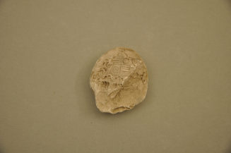 Matrize