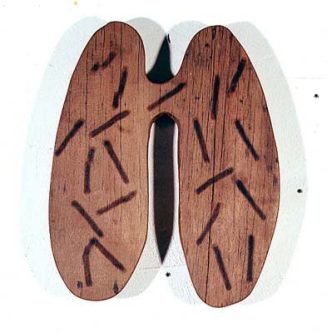 Stefan Linberg: LITTLE WING, Bongossi, Kohlenstoff, 29,5 x 36 x 4,2 cm, 2002