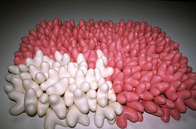 Iris Zogel: O. T. (2002), Herzballons, Plexi, 60 x 85 cm