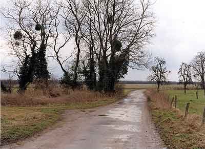 Stefan Schneider: Urdenbach/Düsseldorf, 2006