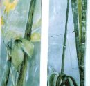 E. Jörgenhaus: Florale Inspiration, Acryl/Lw, 55x110cm, 2003