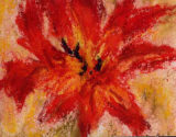 Andrea Weyergarf-Hahn: Blüte, 15 x 15 cm, Pastellkreide, 2005