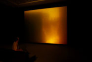 Dagmar Keller / Martin Wittwer / VG Bild-Kunst, Bonn: what you want to see, Videoinstallation,  ...