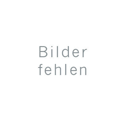 Siegfried Büeler: Ethisch Rhein