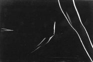 Wolfgang Stoewer: Aktphotographie, Photographie, 9,6 x 14,4 cm, 1976