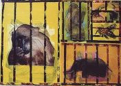 Professor Ulf Rungenhagen: Cages aus dem Africaa Projekt, 50 x 70 cm, 2000/01