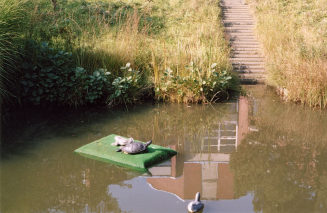 Dirk Gottfriedt
Wasserspiele, 1981