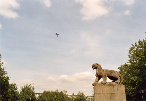 Carl Moritz Schreiner (Bildhauer*in), Löwe, 1974