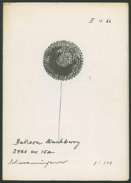 Henk Peeters (Beteiligte Person), Balloon Blackberry. ZERO ON SEA, Scheveningen, 03.1966