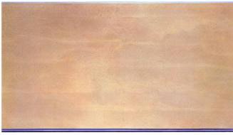 Kenneth Noland