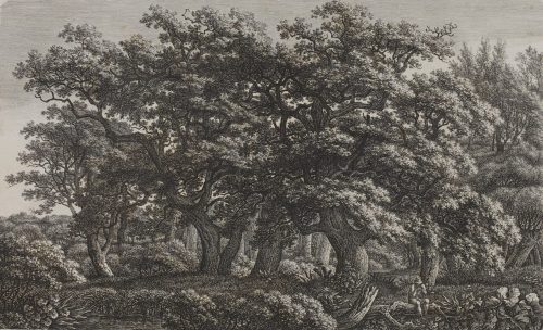 Carl Wilhelm Kolbe der Ältere (Künstler*in), Auf einem gefällten Baum sitzender Mann mit Stock in einem Eichenwald, 1824/25