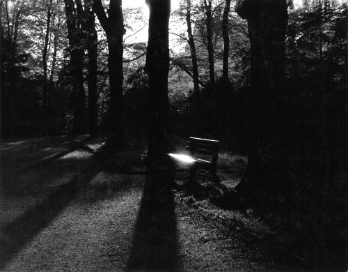 Lichtspiel im Schlosspark