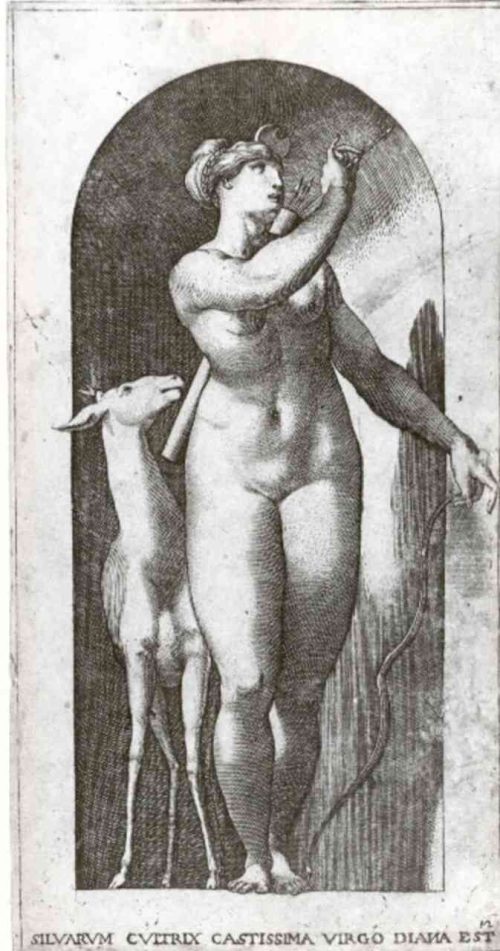 Giovanni Giacomo Caraglio (Stecher*in), Diana, um 1526