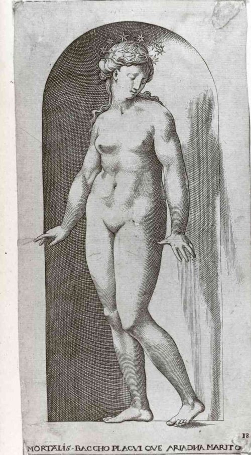 Unbekannt (Stecher*in), Ariadne, nach 1530