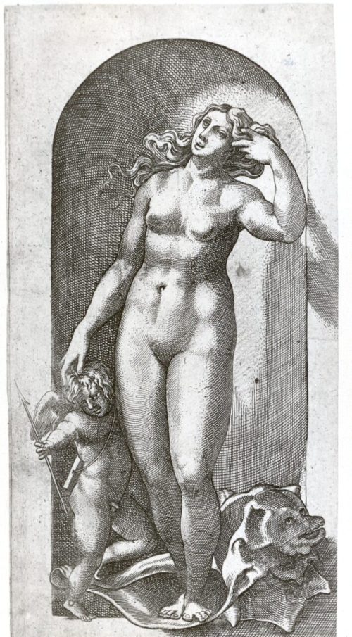 Unbekannt (Stecher*in), Venus, nach 1530