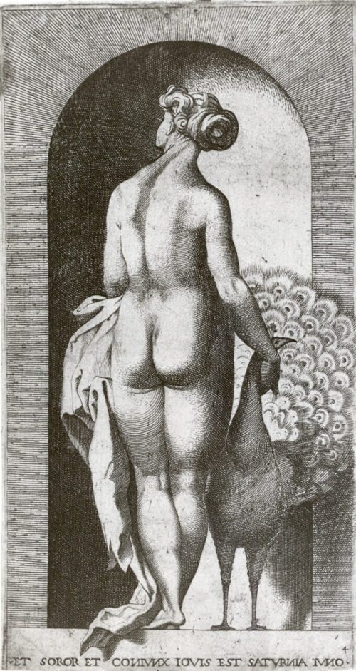 Giovanni Giacomo Caraglio (Stecher*in), Juno, um 1526