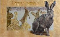 Lepus europaeus, 2017, Öl auf Schlagmetallkaschierter Buchenplatte, 90cm x 55 cm
