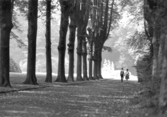 Blick aus der östlichen Fächerallee