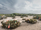  Invasion Dune, Photo auf Alu Dibond, 120 x 160 cm