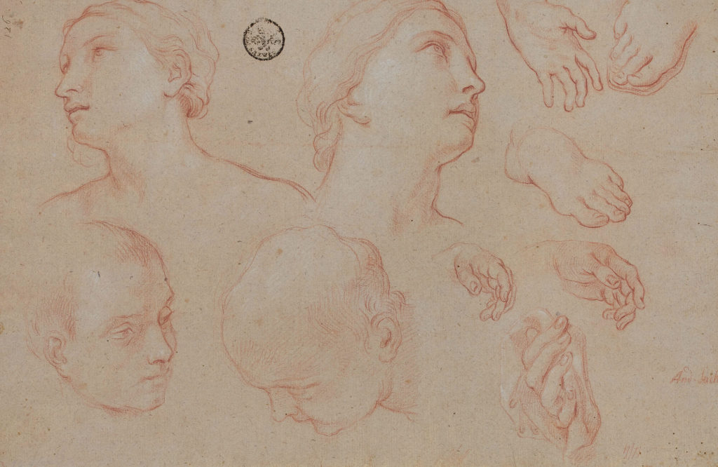 Studien zu Kopf, Hand und Fuß von Maria, der Hl. Eulalia und Männerköpfe