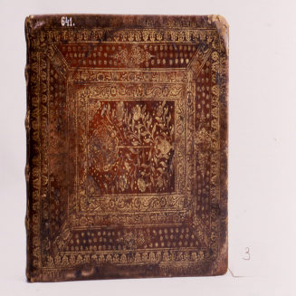 Bucheinband mit Handvergoldung "Atlas Minor"