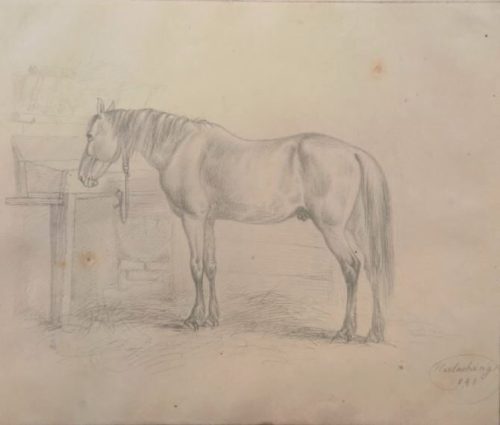 Friedrich Voltz (Künstler*in), Reitpferd im Stall, 1841