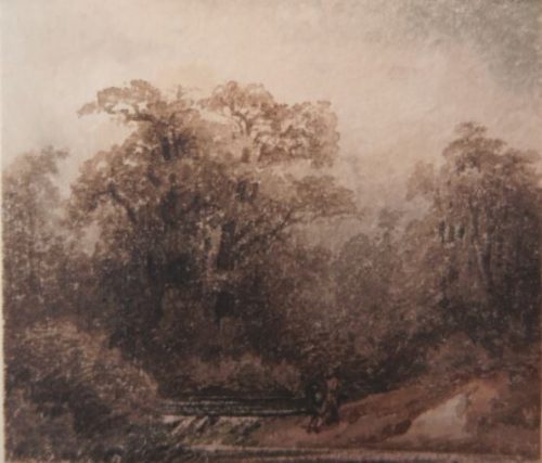 Theodor Verhas (Künstler*in), Waldlandschaft, Mitte 19. Jahrhundert