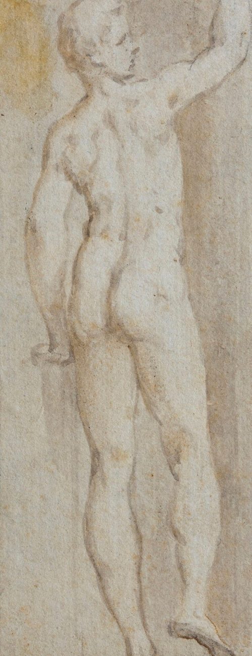 Parmigianino (Künstler*in), Stehender männlicher Rückenakt, Anfang 17. Jahrhundert