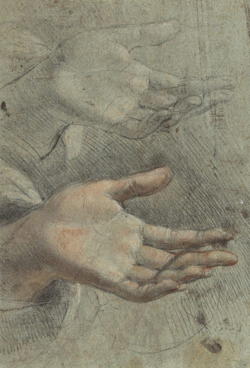 Federico Barocci (Künstler*in), Zwei Handstudien, um 1576