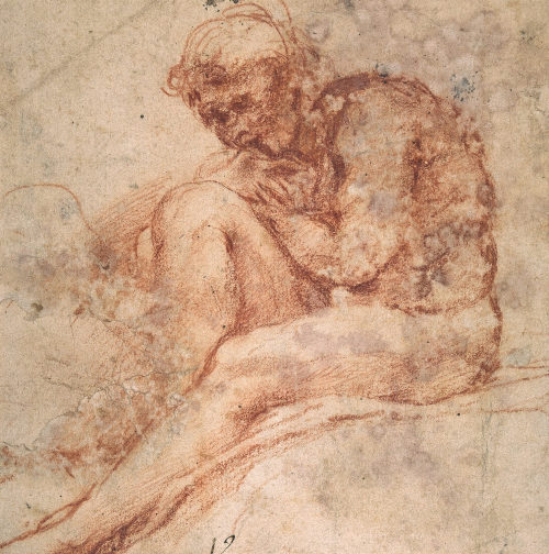 Antonio Allegri da Correggio (Künstler*in), Studie zum Apostel Paulus, 1520–1524