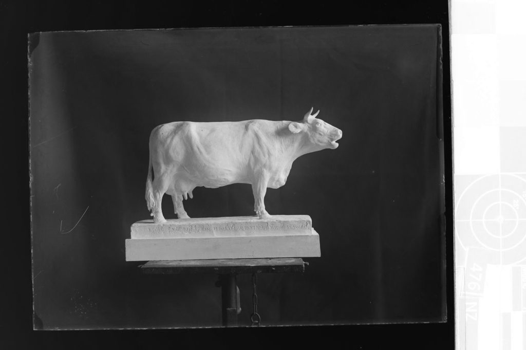 Dia-Negativ