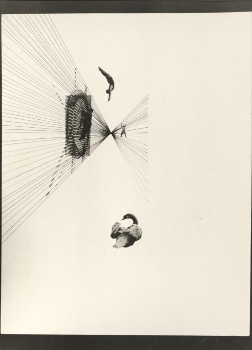 László Moholy-Nagy (Künstler*in), Leda und der Schwan, 1926