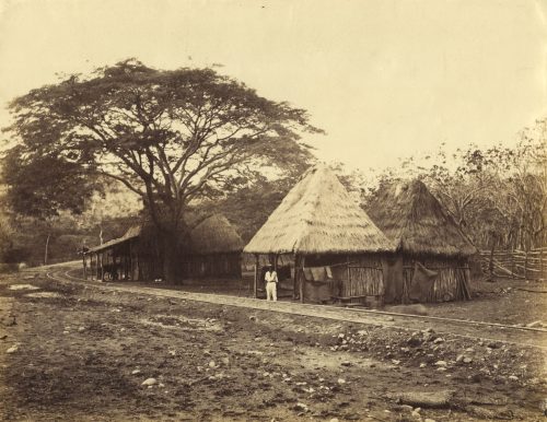 Unbekannt (Künstler*in), Hütten indigener Bevölkerung in der Tierra Caliente im Süden, Mexiko, 1870s–1880s