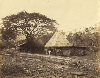 Hütten indigener Bevölkerung in der Tierra Caliente im Süden, Mexiko