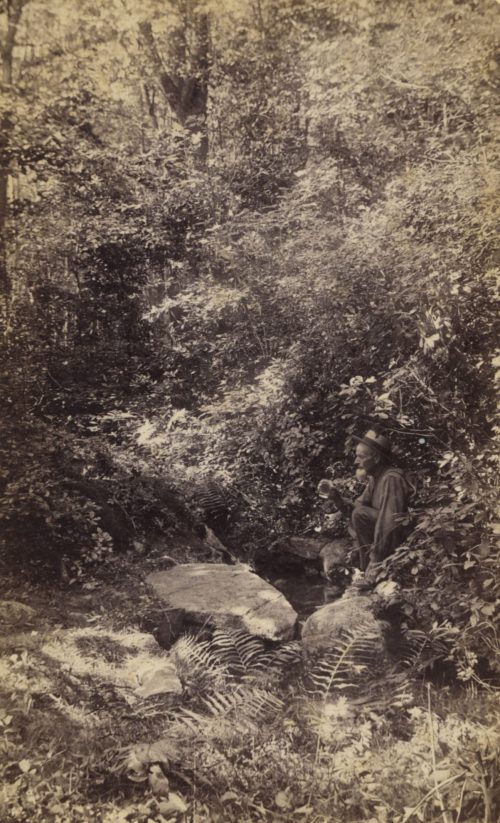 Unbekannt (Künstler*in), Ohne Titel (Mann kniend im Wald), 1860s–1880s