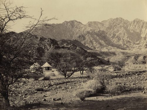 Francis Frith (Künstler*in), Lager unter Shittah Baum, Wady El Ithm, ca. 1865